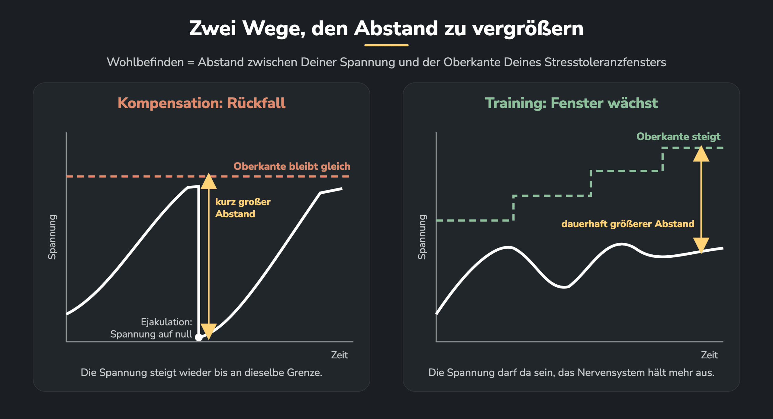 Grafik 3: Zwei Wege, den Abstand zu vergrößern. Links sinkt nach der Ejakulation die Spannung auf null, die Oberkante des Stresstoleranzfensters bleibt gleich. Rechts steigt durch Training die Oberkante, die Spannung darf bleiben.