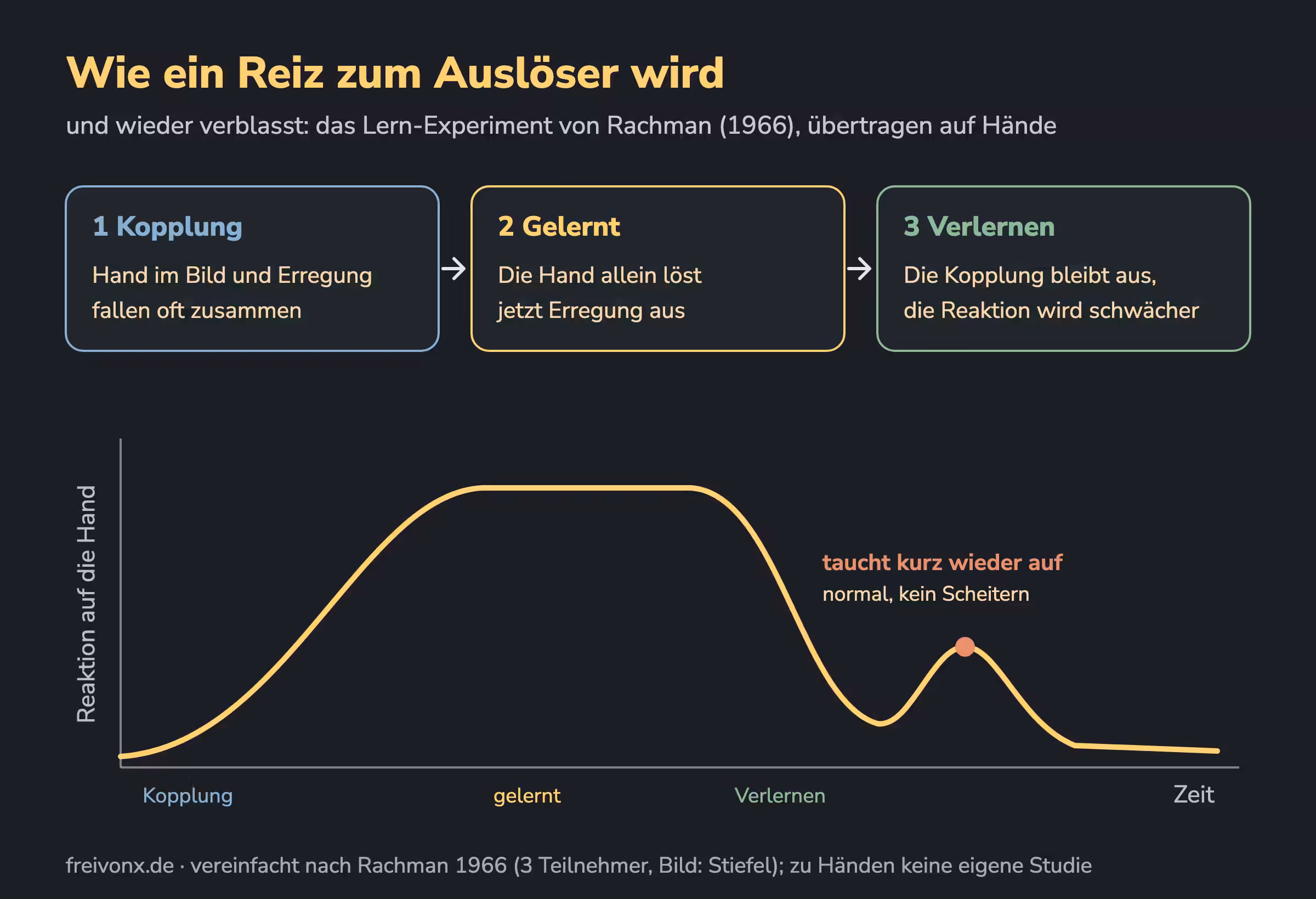 Wie ein Reiz zum Auslöser wird und wieder verblasst: Kopplung, gelernte Reaktion, Verlernen, mit gelegentlichem Wiederauftauchen.